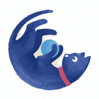 medivetcomunicacion gato medivet medivetgroup GIF