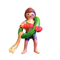 Fight Win Sticker by PLAYMOBIL