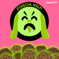 san francisco fox GIF by Animation Domination High-Def