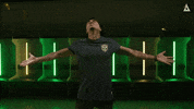 BLASTPremier esports csgo esport cs GIF
