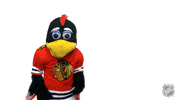 Chicago Blackhawks Sport GIF by NHL