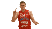 Celebrate Basketball Player Sticker by Bisons