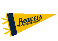 Bvu Sticker by Buena Vista University