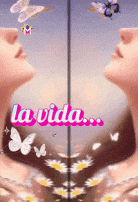 La Vida Feliz GIF by Murcianys LLC