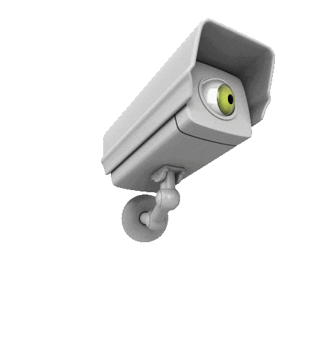 camera STICKER