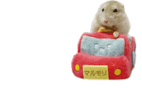 Takehamu0116 Sticker