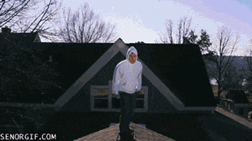 Fail Assassins Creed GIF