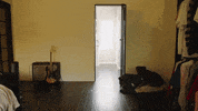 Home Alone Internet GIF by Lauren Sanderson