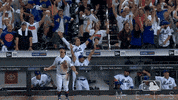 Excited Ny Mets GIF by New York Mets