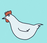 Huhn GIF by Susann Stoebe