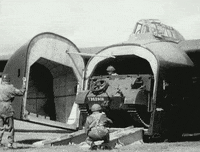 war history GIF