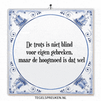Humor Reflectie GIF by Tegelspreuken.nl