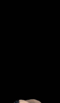 Popo Yes GIF by ponycorn