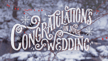 Hallmark Ecards Winter GIF by Hallmark Gold Crown
