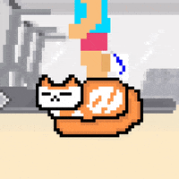 eynmaginaire cat ginger ollie ollie the cat GIF