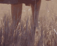 polica GIF by Transgressive