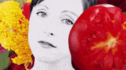 mom + pop music poliÃƒÂ§a GIF by Poliça 