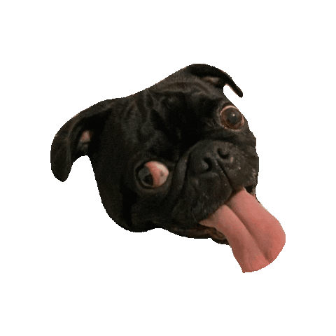 Dog Lick Sticker