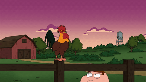 the griffins GIF by Family Guy