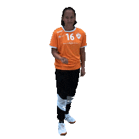 Team Handball Sticker by RK Krim