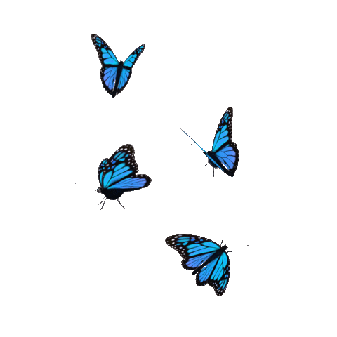 Blue Butterfly Sticker by Originals