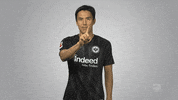 Eintracht Frankfurt No GIF by Bundesliga