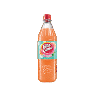 Sommer Limo Sticker by Vita Cola