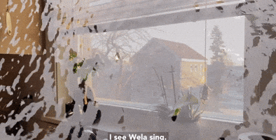 How Water Sings