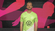 Vfl Wolfsburg GIF by Bundesliga