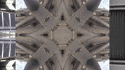 Art Video GIF by jorgemariozuleta