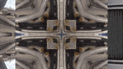 Art Film GIF by jorgemariozuleta