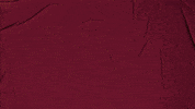 College Baseball GIF by Pearl River Athletics