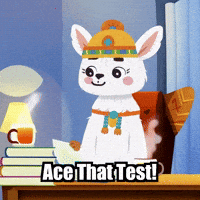 Education Study GIF by Llamaozi
