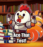 Library Success GIF by Zorooster
