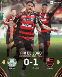Vice Libertadores GIF