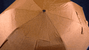 womens golf GIF by LPGA