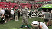 Usf Football GIF by SoFloBulls