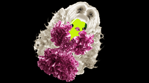 Drag Queen Pride GIF