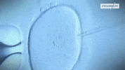 GIF by Le Figaro