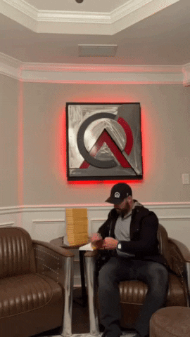 alikershner giphygifmaker GIF