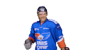 Goal Celebrating Sticker by UNIS Flyers