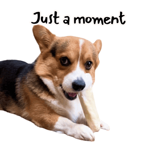 Corgi Moment Sticker