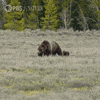 Pbs Nature Baby GIF by Nature on PBS
