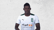 Breel Embolo Bundesliga GIF by Borussia Mönchengladbach