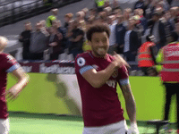 GIF by West Ham United