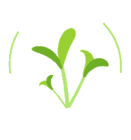Plant Power Sprouts Sticker by Dr.  Will Bulsiewicz