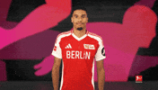 Union Berlin Yes GIF by Bundesliga