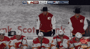 Ice Hockey Sport GIF by NHL
