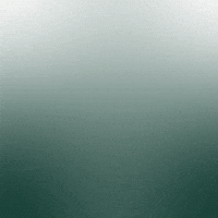 Msu Msubasketball GIF by Michigan State Athletics