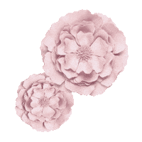 Viktorandrolf Sticker by Viktor & Rolf Fragrances